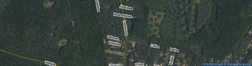 Zdjęcie satelitarne Letniskowa ul.